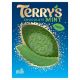 TERRYS CHOCOLATE ORANGE MINT 145G