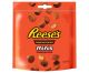 REESES MINI PEANUT BUTTER CUPS 90G